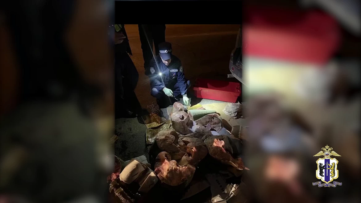 Осетры вместо сазанов: в Комсомольске-на-Амуре у водителя изъяли 164 кг рыбы Пресс-служба УМВД России по Хабаровскому краю