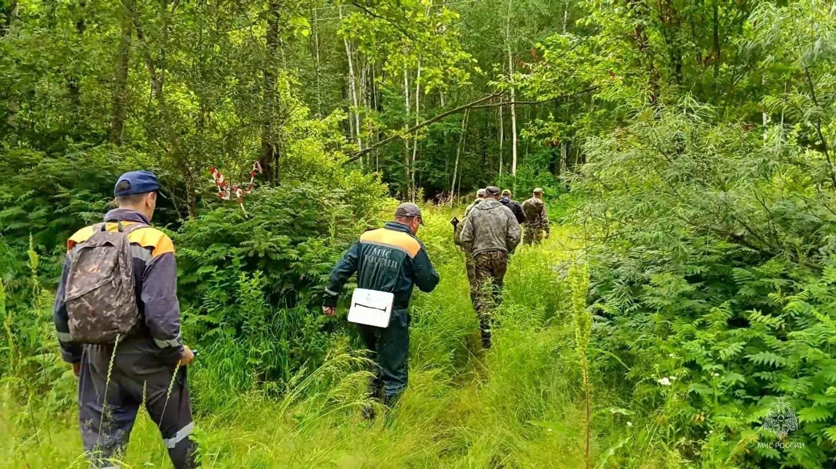 В двух районах Хабаровского края продолжаются поиски пропавших жителей, ушедших в лес Предоставлено пресс-службой ГУ МЧС России по Хабаровскому краю