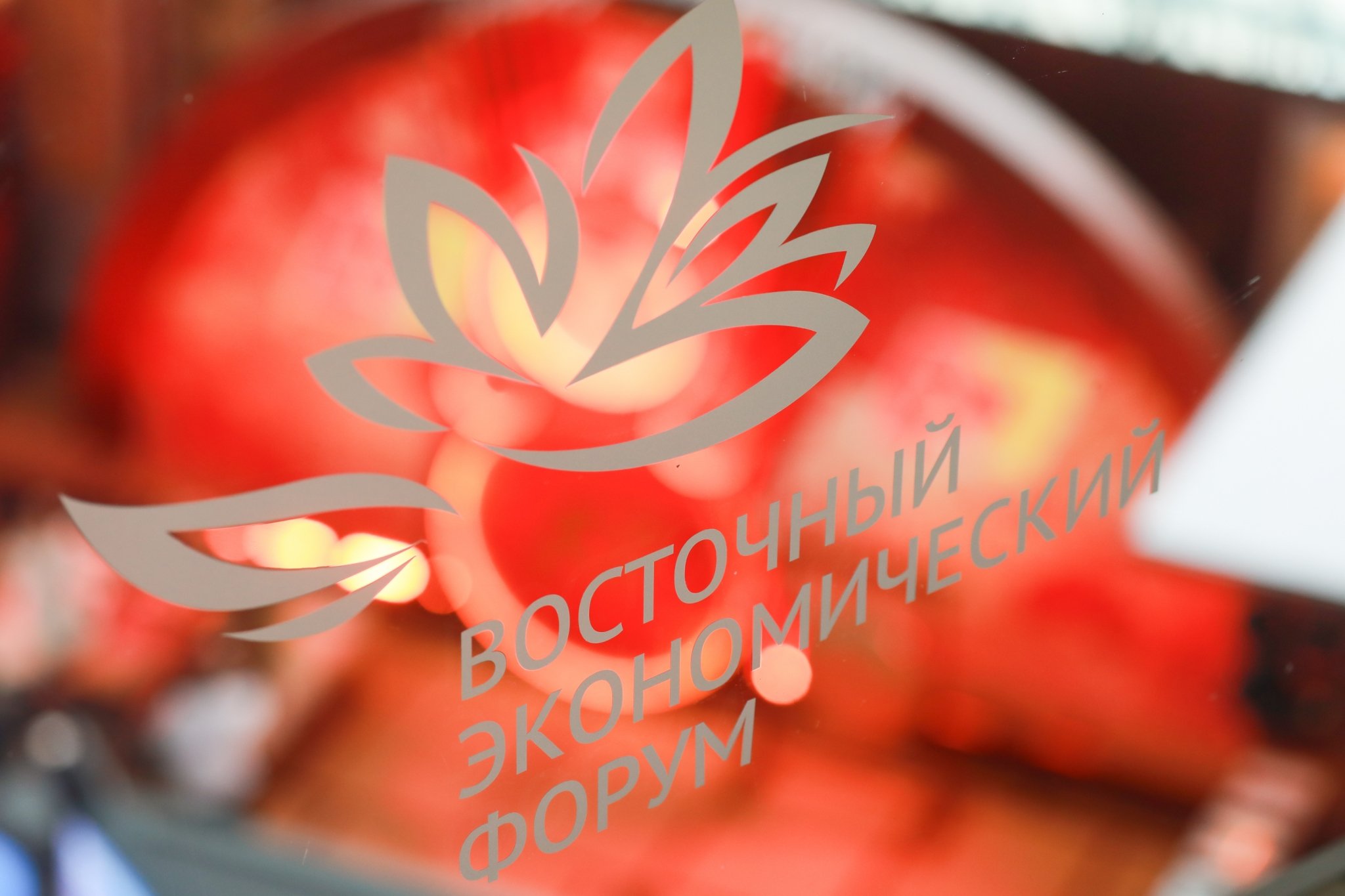 Восточный экономический форум ФСК Регион