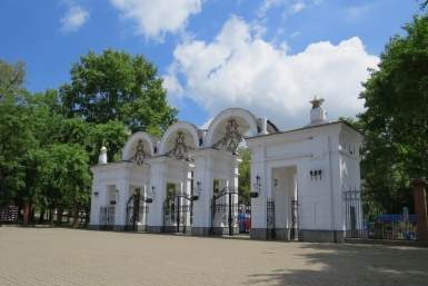 Гармония природы в городской среде: зеленые зоны или деньги в хабаровском бюджете (ЭФИР)