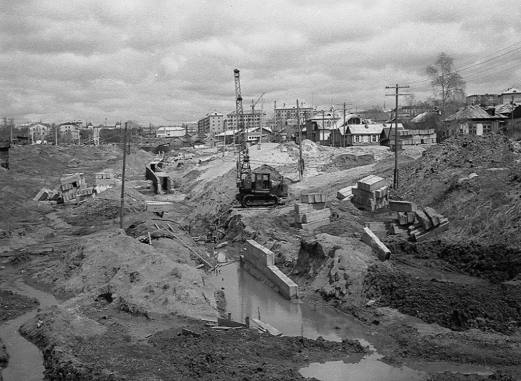 Фото дня