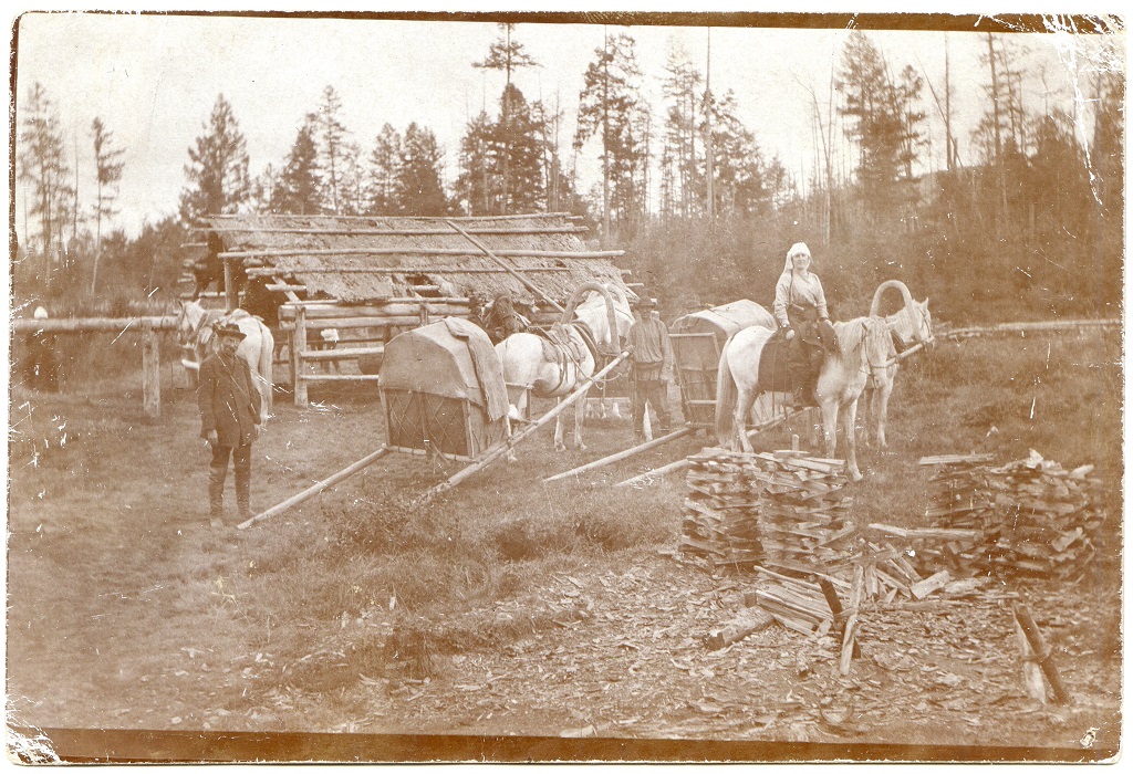 Фото дня