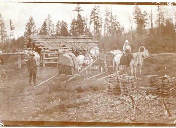Фото дня
