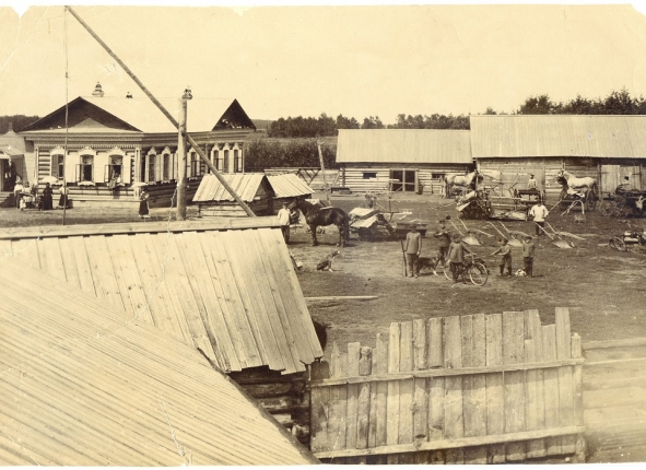 Фото дня